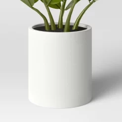 Small ZZ Plant - Threshold™ 5 Small ZZ Plant - Threshold™ -Home Decor Store GUEST 1e5c64a7 2a80 4b73 943a d7a4696cdf97