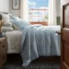 Traditional Floral Printed Cotton Comforter & Sham Set Blue - Threshold™