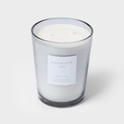 Colored Vase Glass With Dustcover Rainwater Lily Candle Gray - Threshold™ -Home Decor Store GUEST 4dd3a894 6c80 4248 a2de 93743bf8dee9