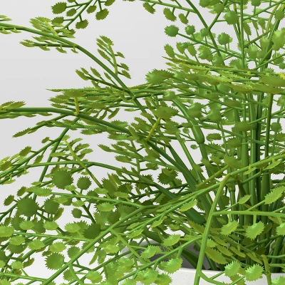 Large Fern In Modern Pot Artificial Hair Arrangement - Threshold™ 2 Large Fern In Modern Pot Artificial Hair Arrangement - Threshold™ - Image 2