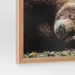 20" X 16" Bear Photography Framed Art Brown - Threshold™ 5 20" X 16" Bear Photography Framed Art Brown - Threshold™ -Home Decor Store GUEST 8d29808a 8d0a 4121 a8c8 64d15cc45658
