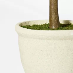 Ficus Tree - Threshold™ Designed With Studio McGee 5 Ficus Tree - Threshold™ Designed With Studio McGee -Home Decor Store GUEST b527c49c 40e7 4f4d 8026 e60817b7e327