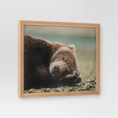 20" X 16" Bear Photography Framed Art Brown - Threshold™ 2 20" X 16" Bear Photography Framed Art Brown - Threshold™ - Image 2