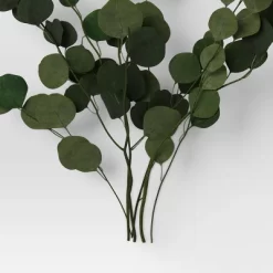 Preserved Eucalyptus Bundle - Threshold™ -Home Decor Store GUEST c7dd4b87 faec 4ba4 94c4 c0953dd894d7