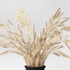 Grass Arrangement In Ceramic Pot Black - Threshold™ -Home Decor Store GUEST cbf73334 5a06 41bb b5dd f3e7db59aec5