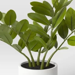 Small ZZ Plant - Threshold™ 4 Small ZZ Plant - Threshold™ -Home Decor Store GUEST d00edf86 f29a 4222 aafc b2770e609cdc